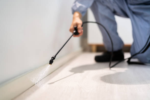 Licensed Fumigation Services service in Franklin County County, TX - Nex Pest Control